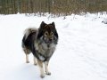 djago (76)